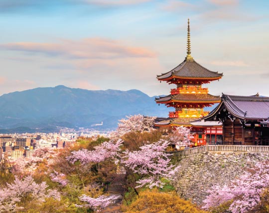 Japan group tour holiday for Ugandans